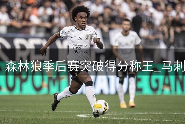 森林狼季后赛突破得分称王 马刺雷霆紧随其后
