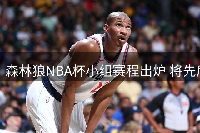 森林狼NBA杯小组赛程出炉 将先后迎战四支西部劲旅