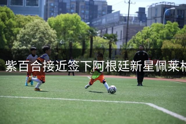 紫百合接近签下阿根廷新星佩莱格里诺 转会费逾2000万欧